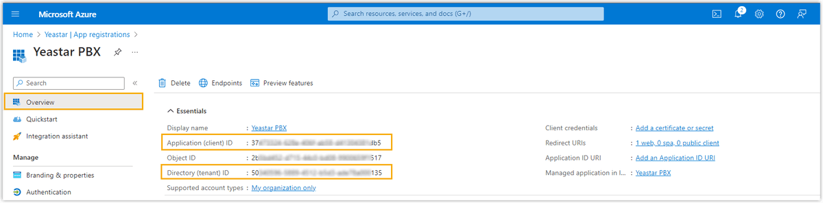 Copy Application ID and Tenant ID