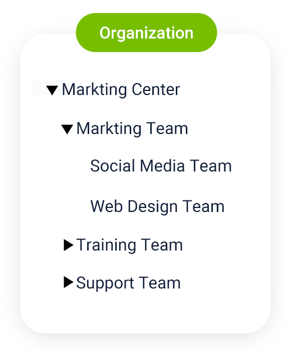 Organization Structure
